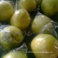 New Crop Fresh Honey Pomelo